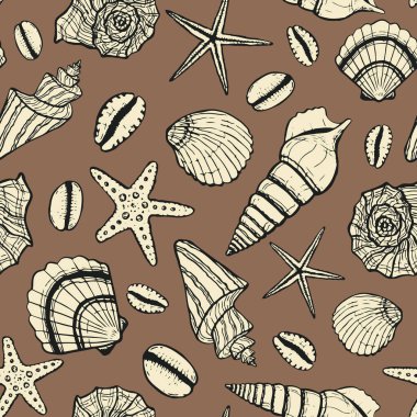 Deniz kabuklu, pürüzsüz bir deniz şablonu. Yaz zamanı, deniz, su altı, deniz kabukları
