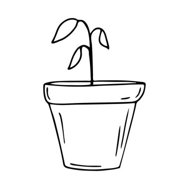 Elle çizilmiş bir kabın içinde filizlen. Doodle Garden Bitki Tohumları, Birleşme