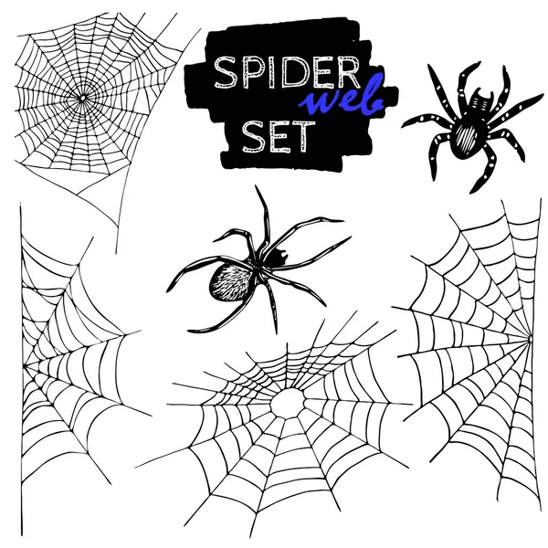 Паутина и набор иллюстраций паука, изолированные на белом фоне. Коллекция Хэллоуина. — стоковый вектор
