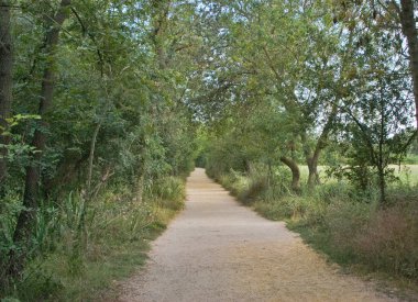 Emporda sulak arazileri ormana gidiyor, yemyeşil ağaçlar doğal bir tünel oluşturuyor. Çevre ve sükuneti yansıtıyor