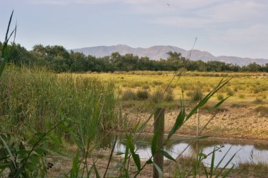 Emporda 'nın yeşil bitki örtüsü, sakin su kanalları ve berrak bir gökyüzünün altındaki dağlar geniş bir bakış açısına sahip.