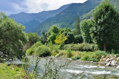 Dağ nehri yemyeşil bir vadide, yemyeşil ağaçlar ve kayalık kıyılarla dolup taşıyor.
