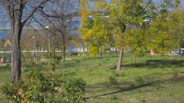 İspanya, Madrid, 127: 2025, Huzurlu şehir parkı rüzgarda hareket eden ağaçlar ve güneşli bir günde arka planda bir oyun alanı