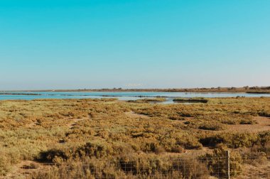 Geniş sulak arazi tuzlu bataklıklar, durgun su ve açık mavi gökyüzünün altında bir flamingo sürüsü.