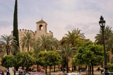 Bir grup insan büyük bir ağacın altında bir parkta oturuyor. Park palmiye ağaçları ile çevrilidir ve arka planda büyük bir binası vardır.