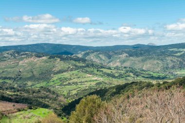 Açık mavi gökyüzü olan güzel bir dağ manzarası. Dağlar yemyeşil ağaçlarla kaplı ve manzara nefes kesici. Huzur ve sükunet kavramı