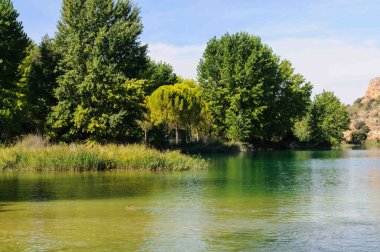 Arka planda ağaçlar olan bir su kütlesi. Su yeşil ve sakindir. Ağaçlar uzun ve yapraklı.