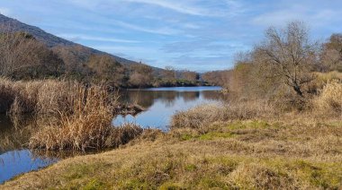 Kıyısında bir sürü ot ve ağaç olan bir nehir. Su sakin ve gökyüzü mavi.