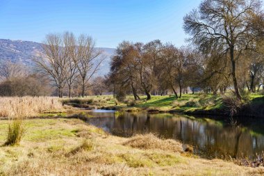 Arka planda ağaçlar ve çimenler olan huzurlu bir nehir manzarası. Su sakin ve ağaçlar çıplak, görüntüye huzur ve huzur veren bir atmosfer veriyor.