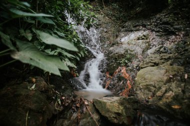 Yağmur ormanı şelalesi yavaş kapatma modunda.