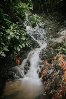 Yağmur ormanı şelalesi yavaş kapatma modunda.