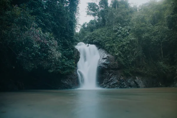 ⬇ Скачать Картинки Légende De Tarzan, Стоковые Фото Légende De.