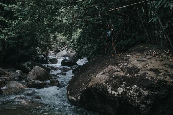 熱帯雨林の絶景 ロイヤリティフリーのストック画像