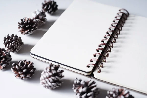 Notebook Pen Pinecones White Office Table Top View Copy Space Лицензионные Стоковые Фото
