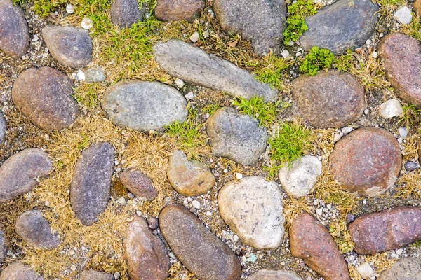 Hintergrund Kieselsteine im Boden — Stockfoto