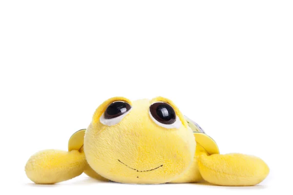 Children's toy yellow turtle isolated on white background — Stock Photo, Image