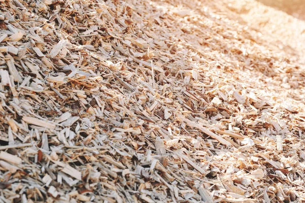Large pile of wood chips. Waste from the woodworking industry, fuel and raw materials for heating solid fuel industrial boilers on wood chips. Background image with shallow depth of field