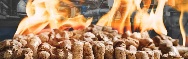 Wood Pellets Heating Industrial Boiler Houses Bio Fuel Fire Industrial — Stock Photo, Image