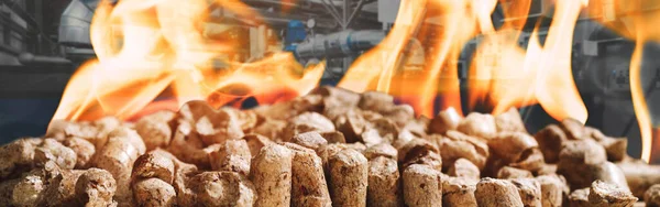 産業用ボイラーを背景に火災でバイオ燃料で産業用ボイラーの家を加熱するための木質ペレット 燃える炎を背景に木質バイオマスの複合複合複合メディアバナー画像 現代のエネルギー概念 ロイヤリティフリーのストック写真