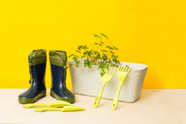Yeşil lastik çizmeler ve bahçe aletleri. Nakil kepçesi, gevşetici çatal.