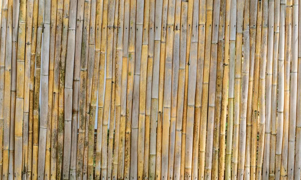 Bambu textura de madeira fundo padrão — Fotografia de Stock