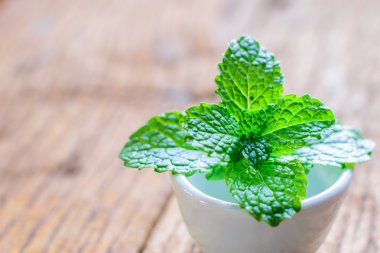 Bir tablo üzerinde taze nane