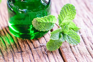 Bir tablo üzerinde taze nane