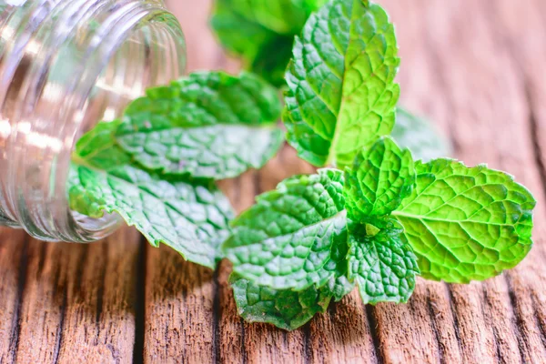 Frische Minze auf dem Tisch — Stockfoto