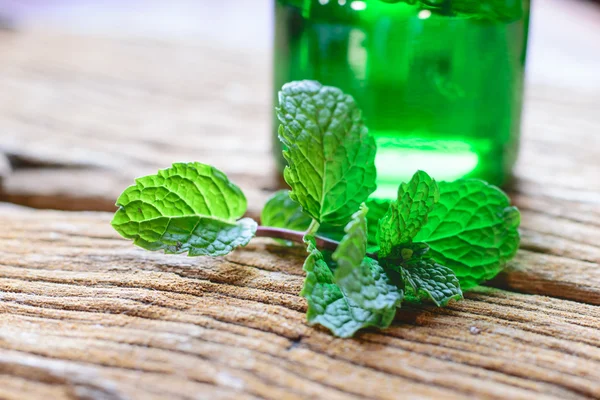 Frische Minze auf dem Tisch — Stockfoto