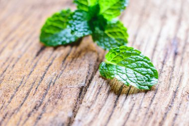  Bir tablo üzerinde taze nane