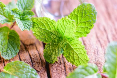 Bir tablo üzerinde taze nane