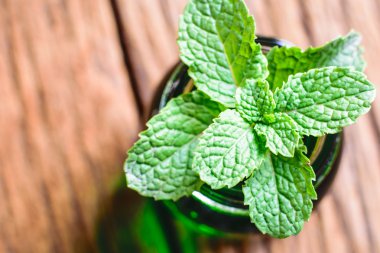 Bir tablo üzerinde taze nane