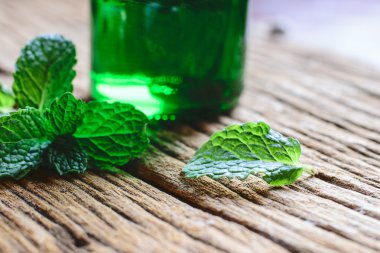 Bir tablo üzerinde taze nane