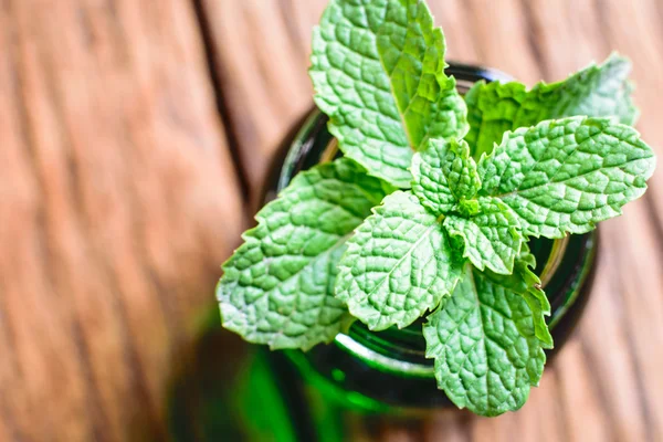 Bir tablo üzerinde taze nane