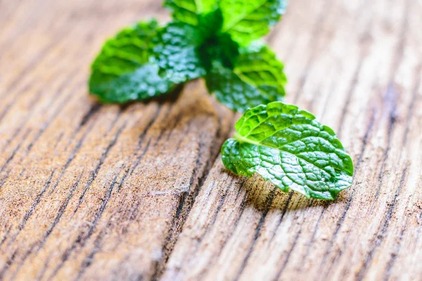  Bir tablo üzerinde taze nane