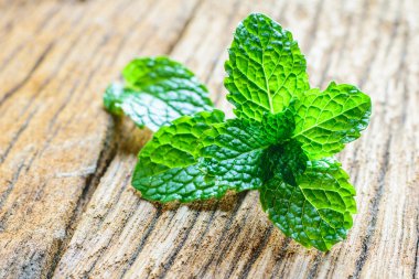 Bir tablo üzerinde taze nane 
