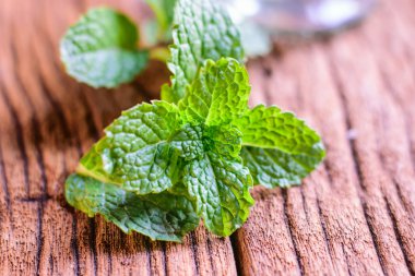 Bir tablo üzerinde taze nane 