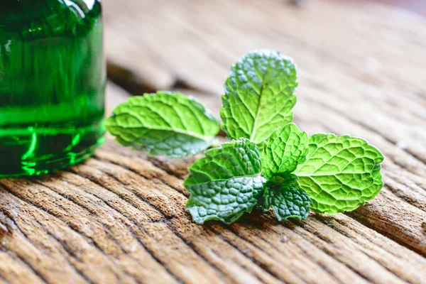 Frische Minze auf dem Tisch — Stockfoto