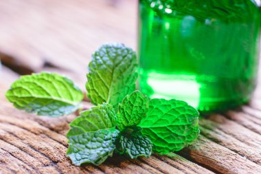 Bir tablo üzerinde taze nane