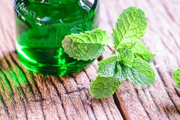 Frische Minze auf dem Tisch — Stockfoto