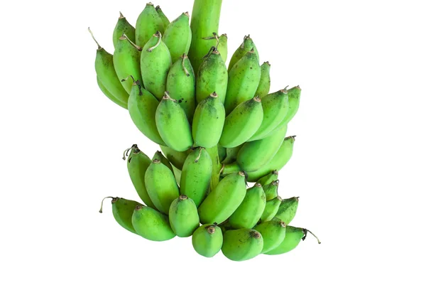 Banana bunch on tree isolated on white background — Stock Photo, Image