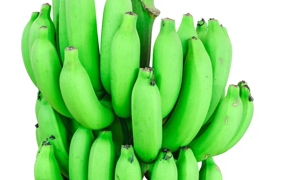 Manojo de plátano en el árbol aislado sobre fondo blanco — Foto de Stock