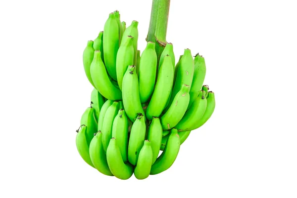 Bananenstrauß auf Baum isoliert auf weißem Hintergrund — Stockfoto