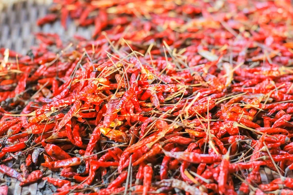 Den torkade chili (chili, chili, mat) — Stockfoto