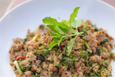 Tay baharatlı domuz fesleğen