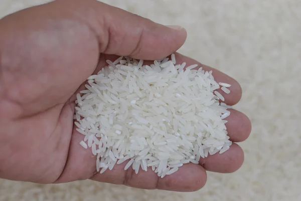 White Rice — Stock Photo, Image