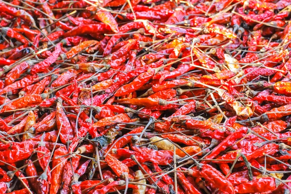 Den torkade chili (chili, chili, mat) — Stockfoto
