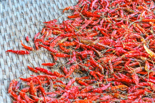 Den torkade chili — Stockfoto