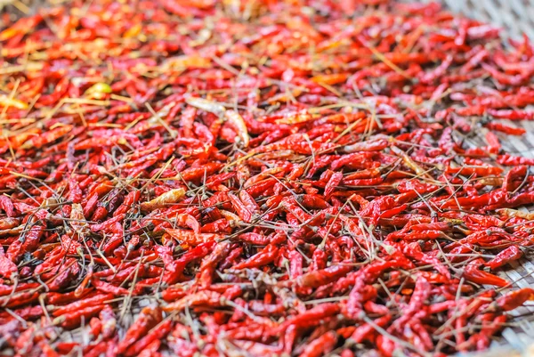 Den torkade chili (chili, chili, mat) — Stockfoto