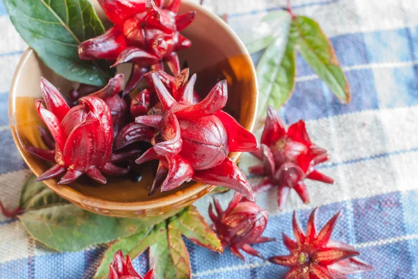 Roselle vruchten — Stockfoto